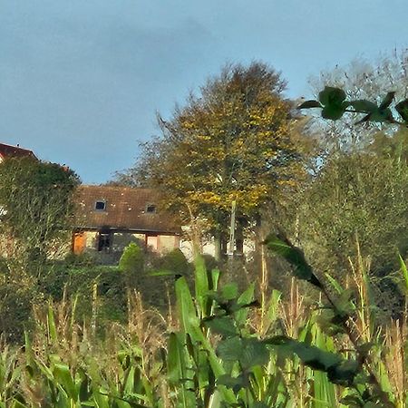 Gite Marie Le Bellanoy Wirwignes Exterior foto